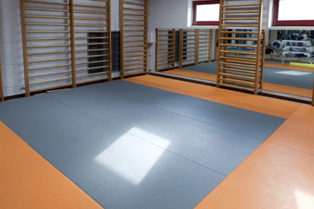 Floor Exercise Zone — photo 2